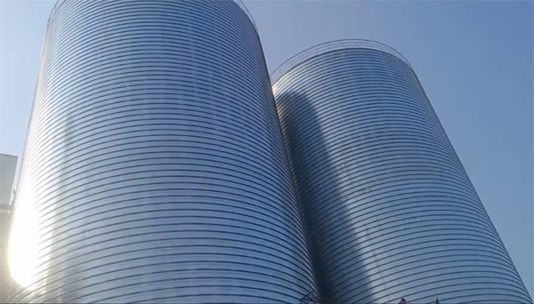 罗田2座混凝土高架卷板仓